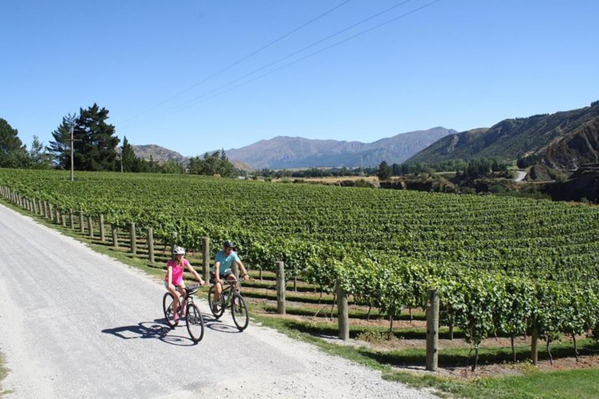 dues persones anant en bicicleta per una carretera en una vinya