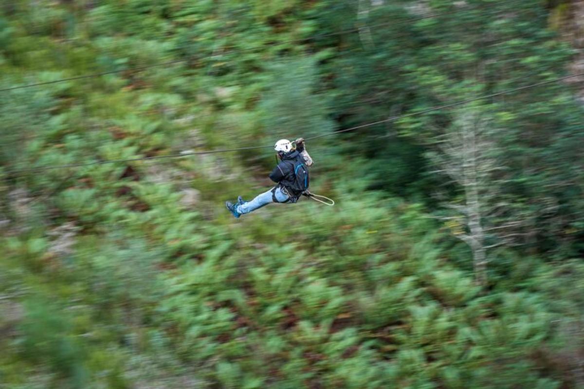 una persona che vola in aria sopra una foresta