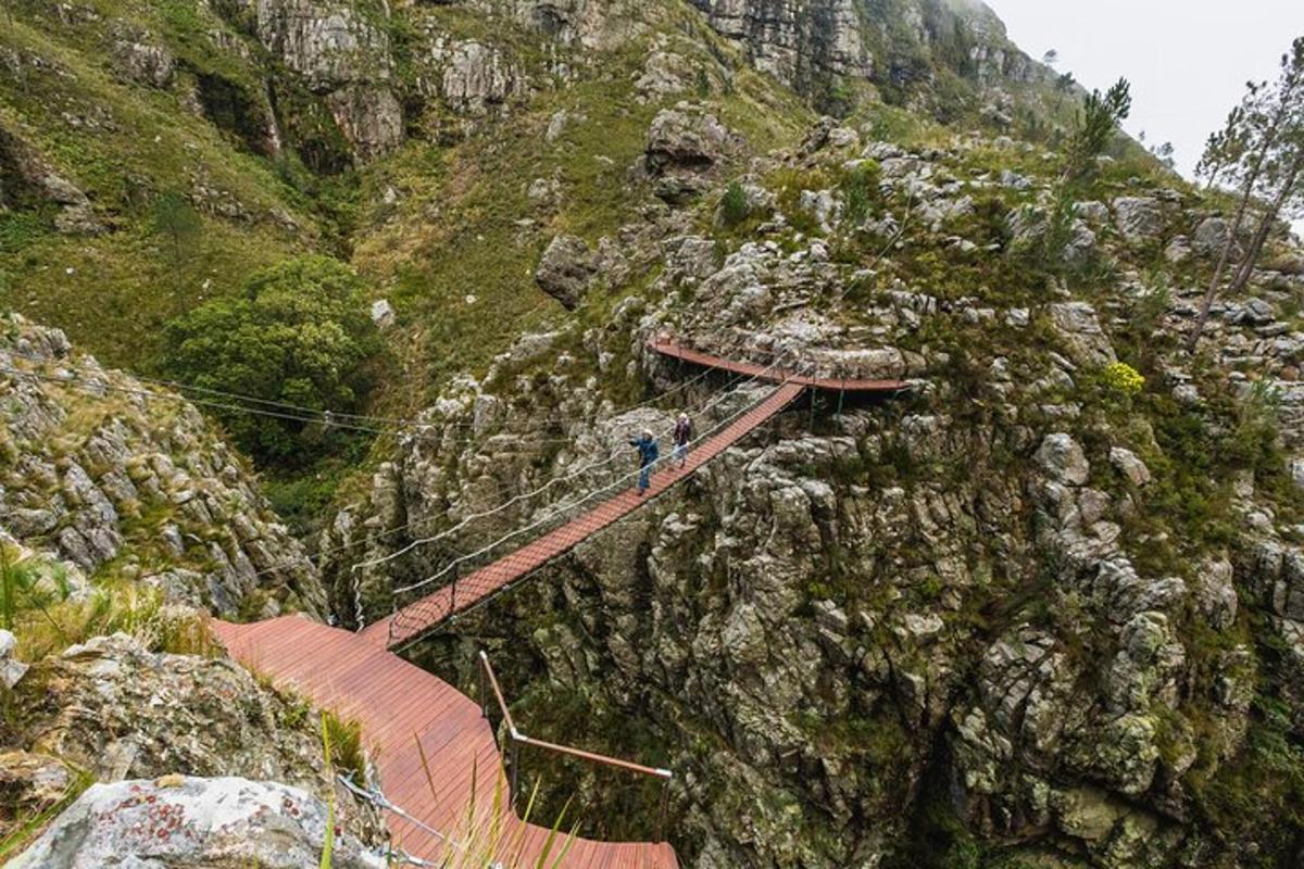 una persona su un ponte sospeso su una montagna
