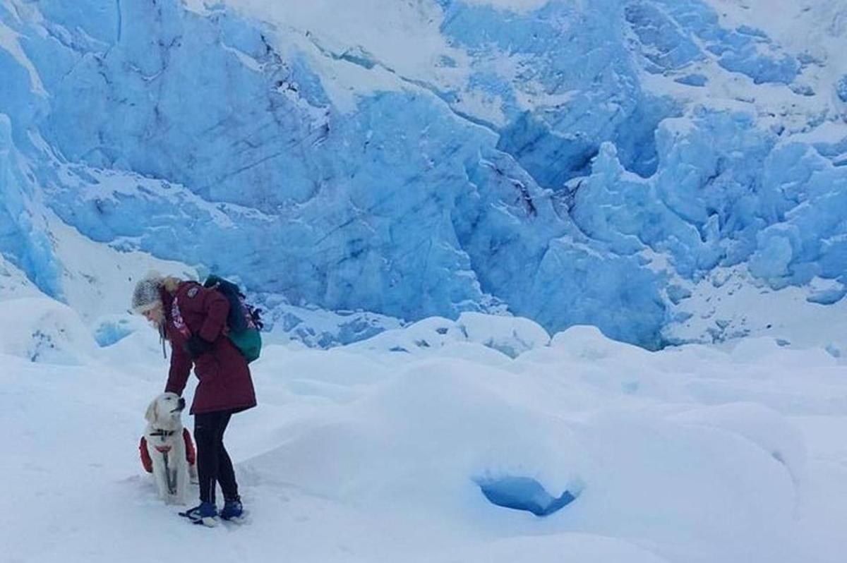 a woman standing on top of a glacier with a dog