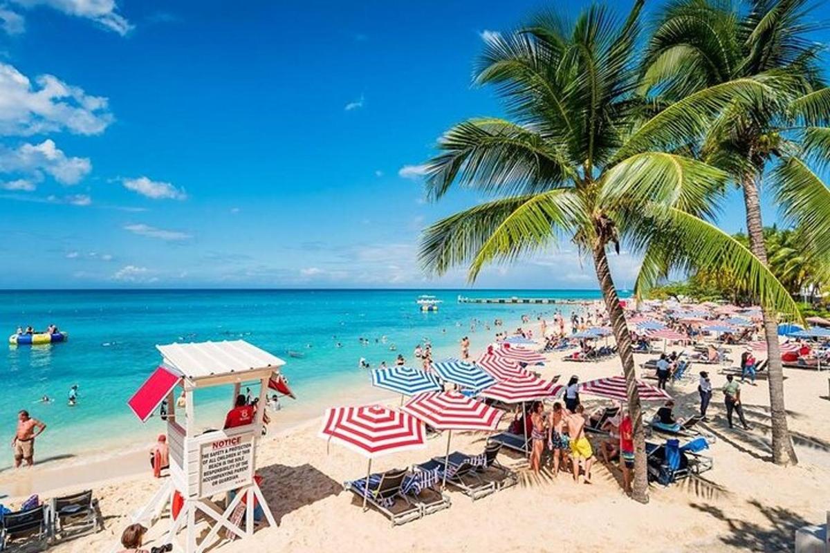 una spiaggia con ombrelloni e persone in acqua