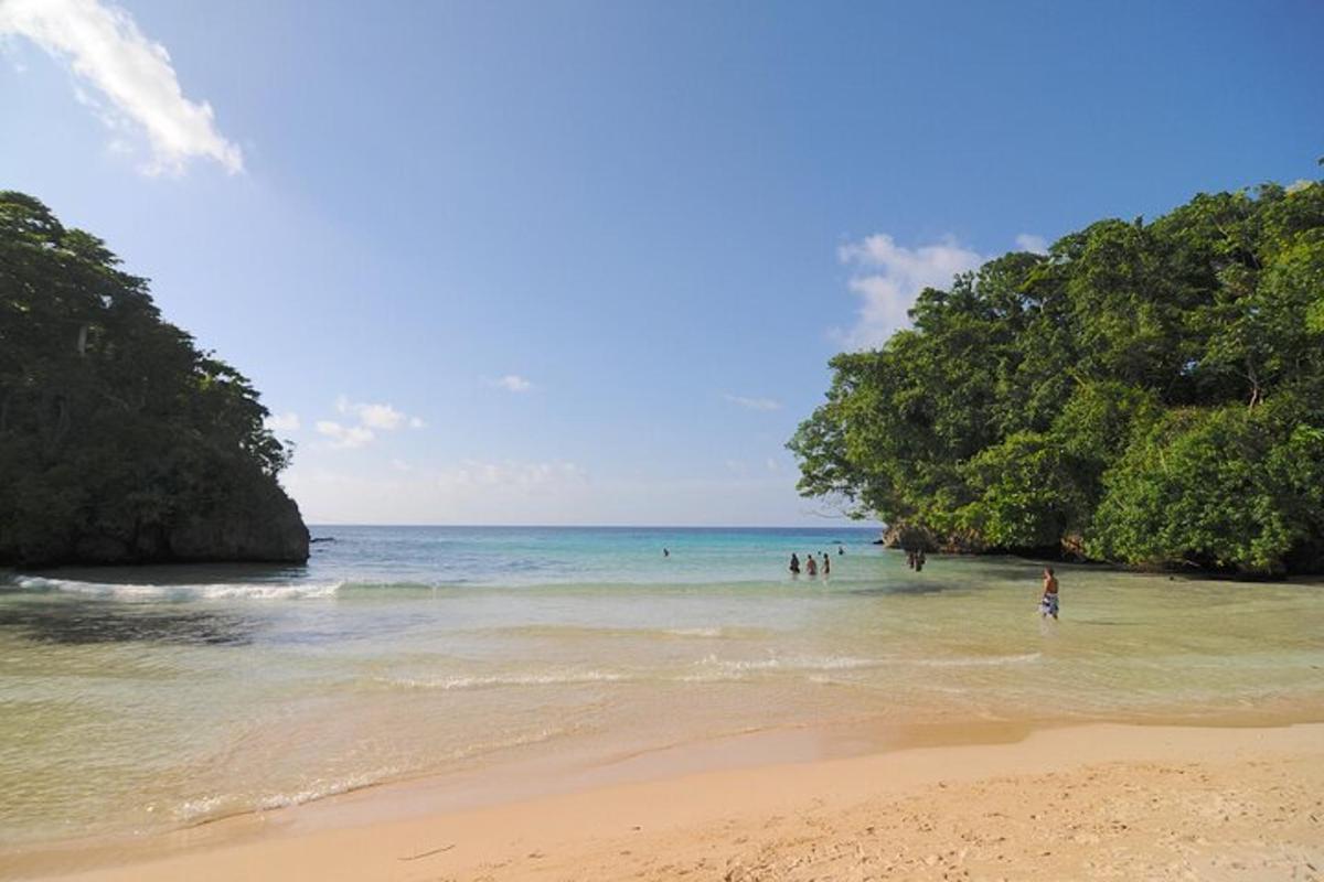 un gruppo di persone in piedi nell'acqua su una spiaggia