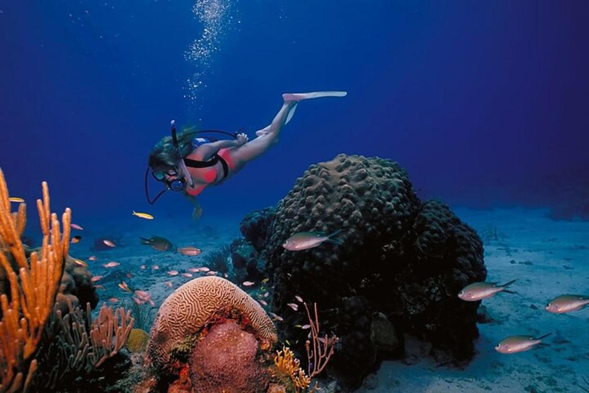 Una mujer está nadando sobre un arrecife de coral.
