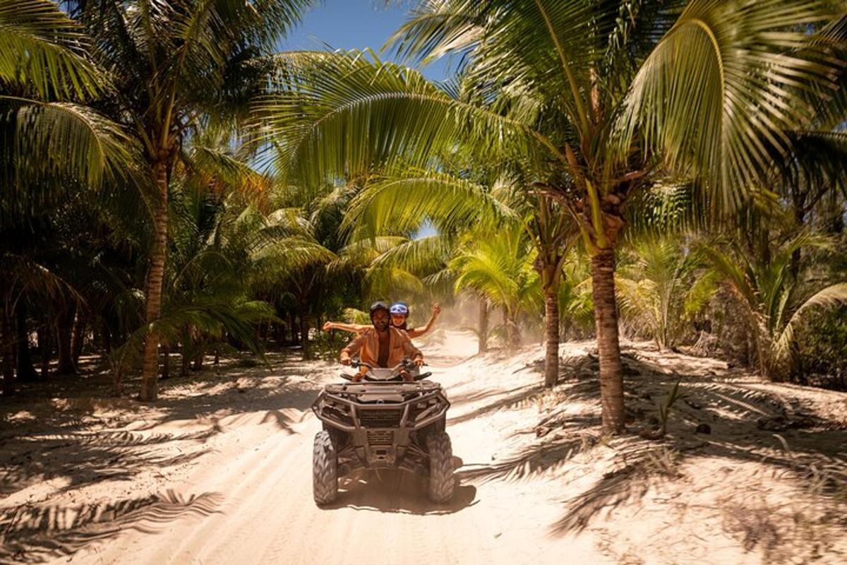 un home conduint un quad per un camí de terra entre palmeres