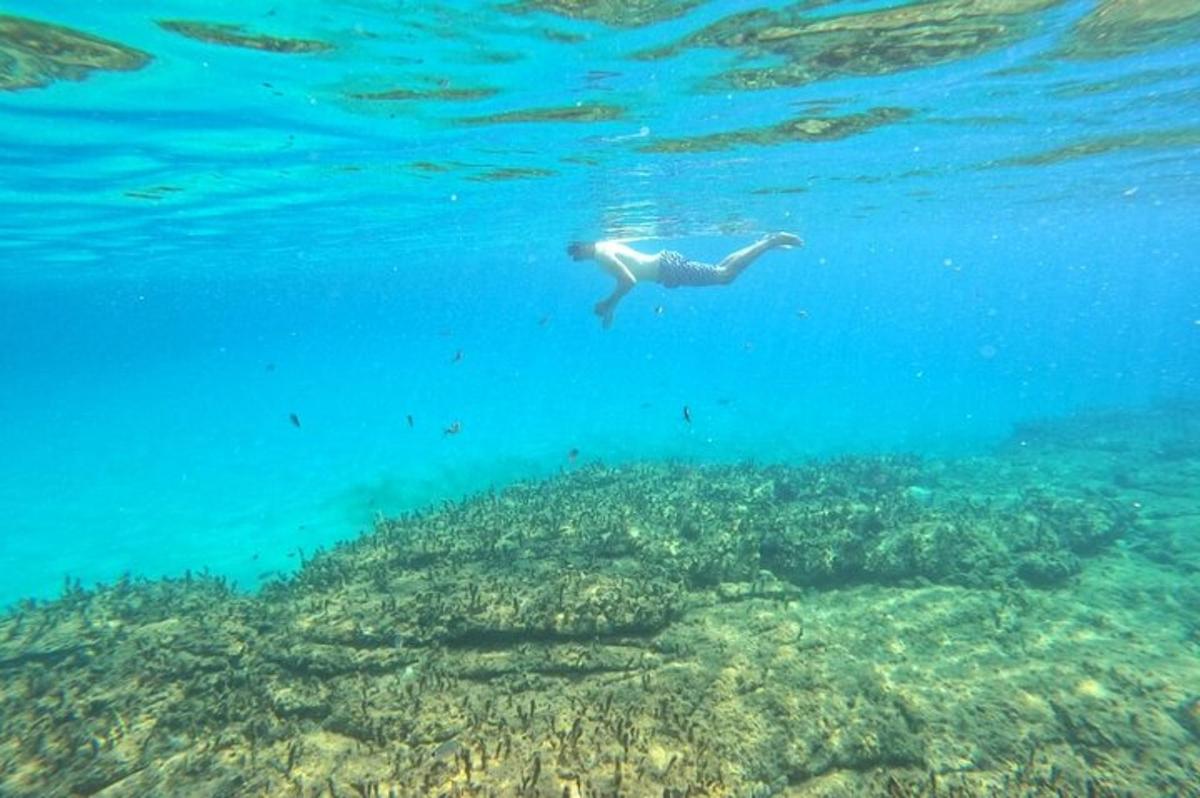a person swimming in the ocean over a reef