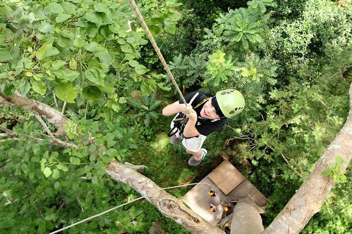 un uomo su un'altalena di corda nella foresta