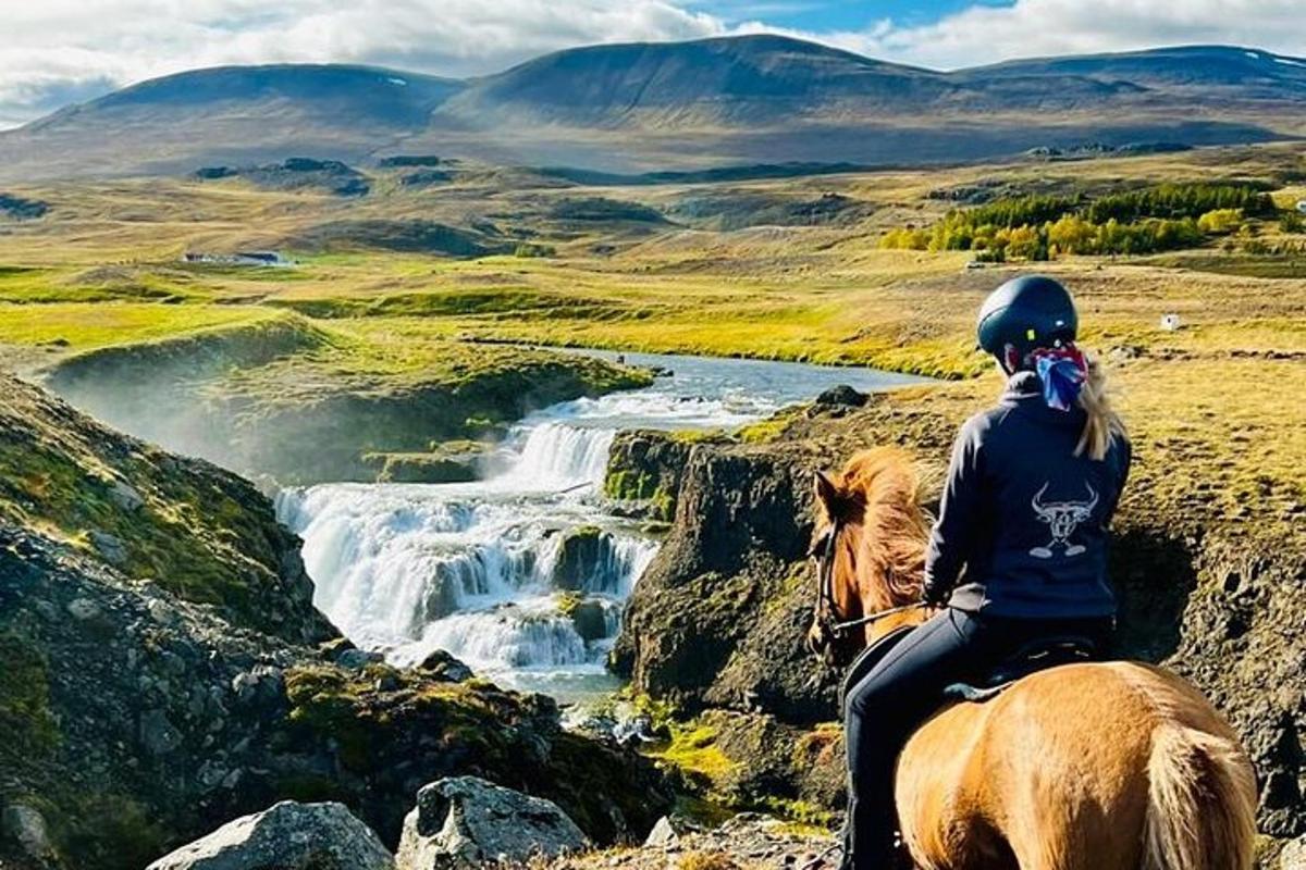 una persona a caballo mirando una cascada