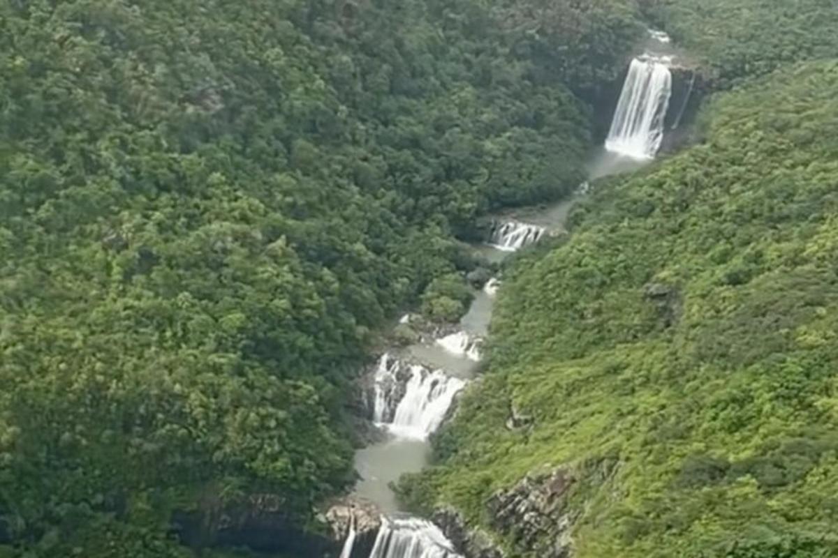 een luchtfoto van een waterval in een bos