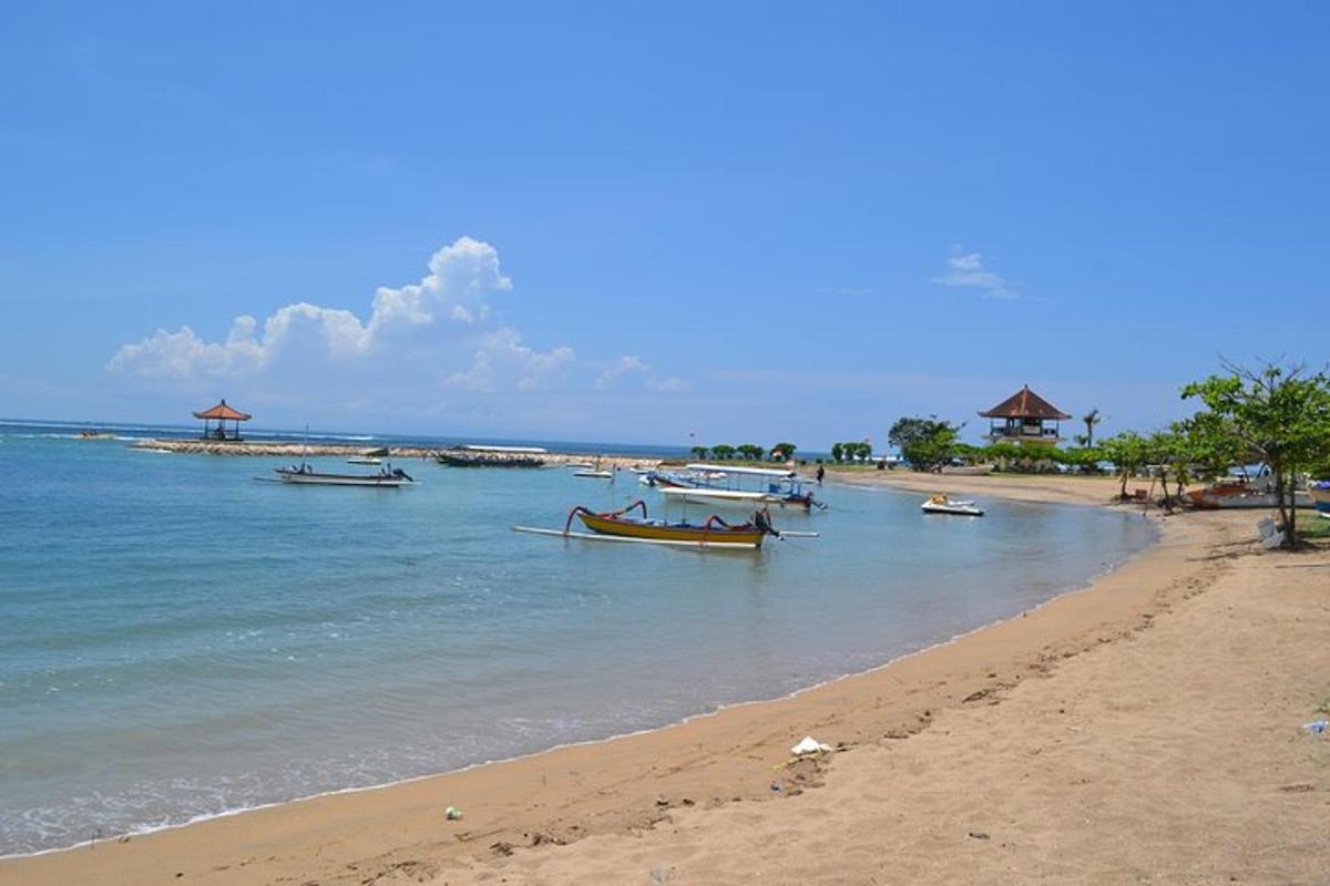 una spiaggia con diverse barche in acqua