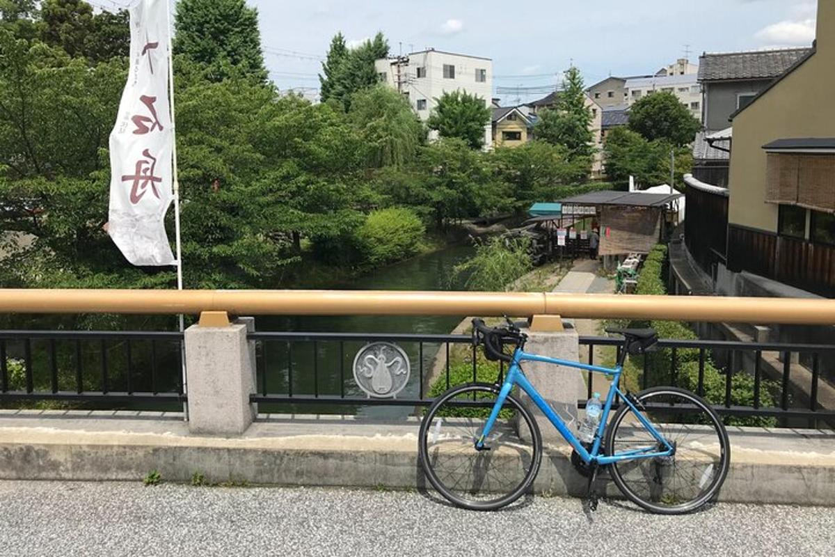 una bicicletta blu parcheggiata davanti a una recinzione