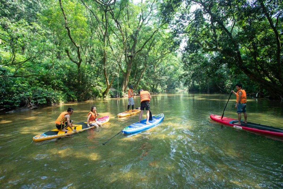a group of people on kayaks on a river