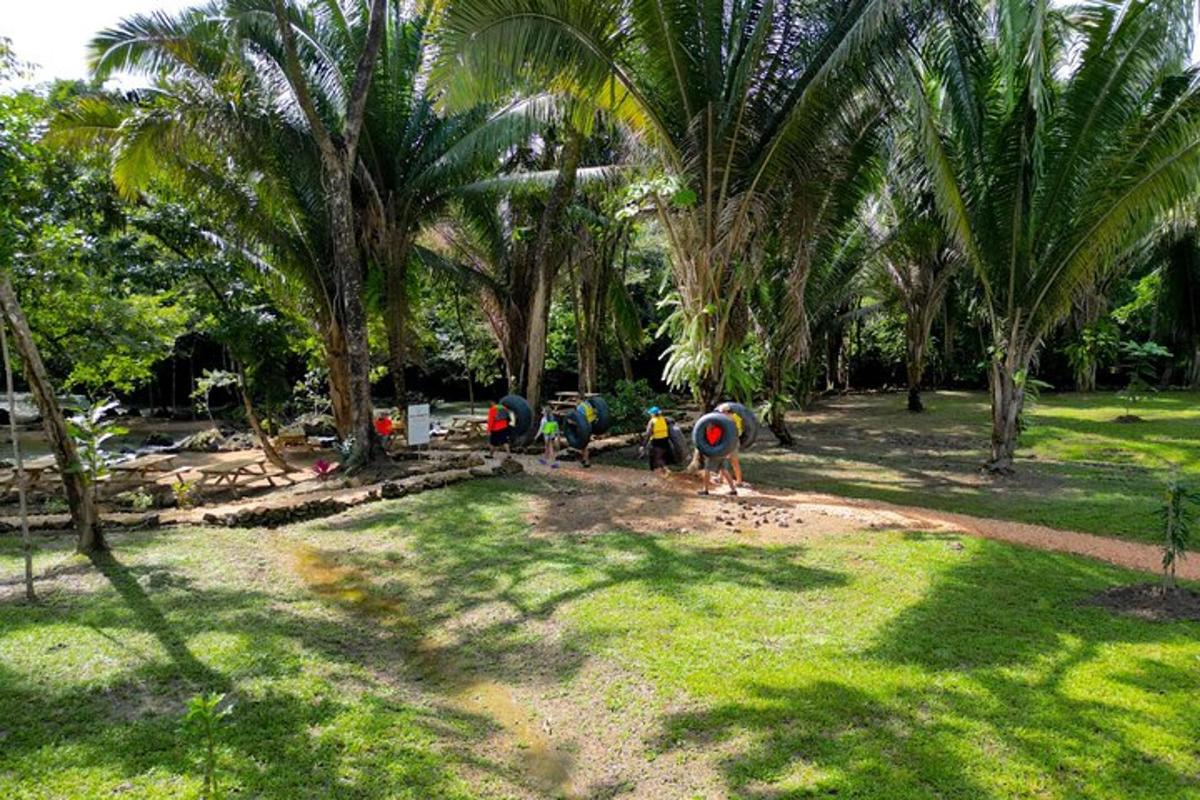 a group of people standing in a park with palm trees