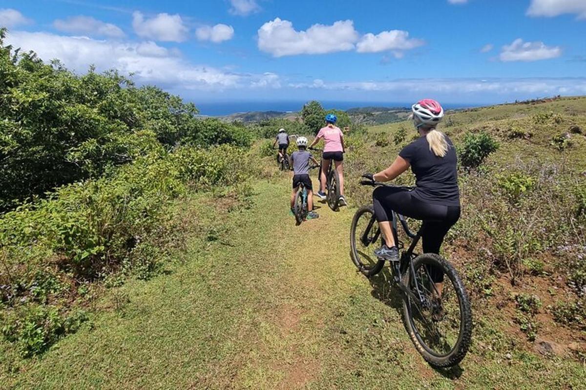 丘を下る自転車に乗る人々のグループ