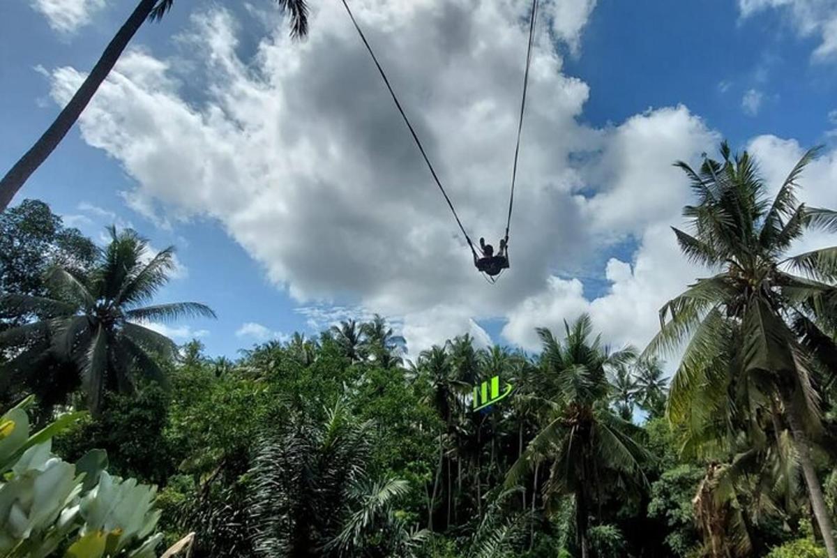 a person on a zip line in the jungle