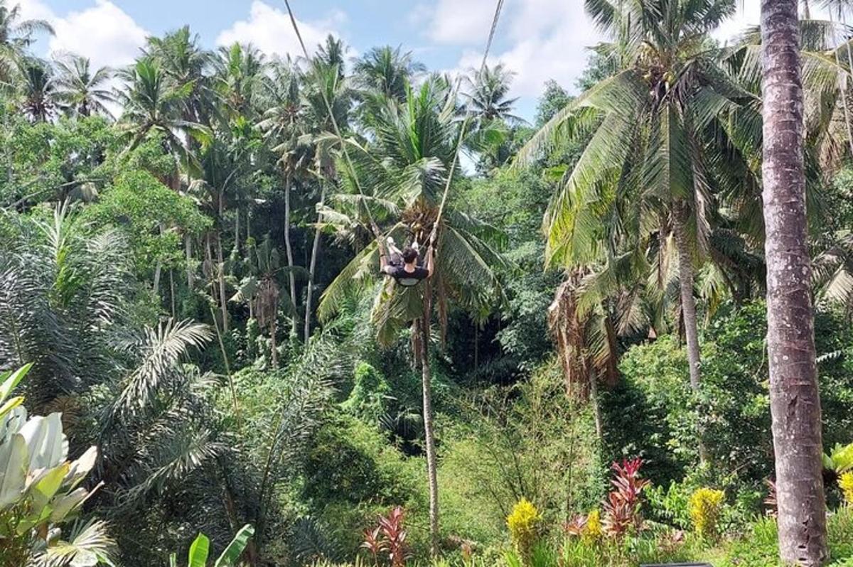 un gruppo di persone appese a una corda davanti alle palme