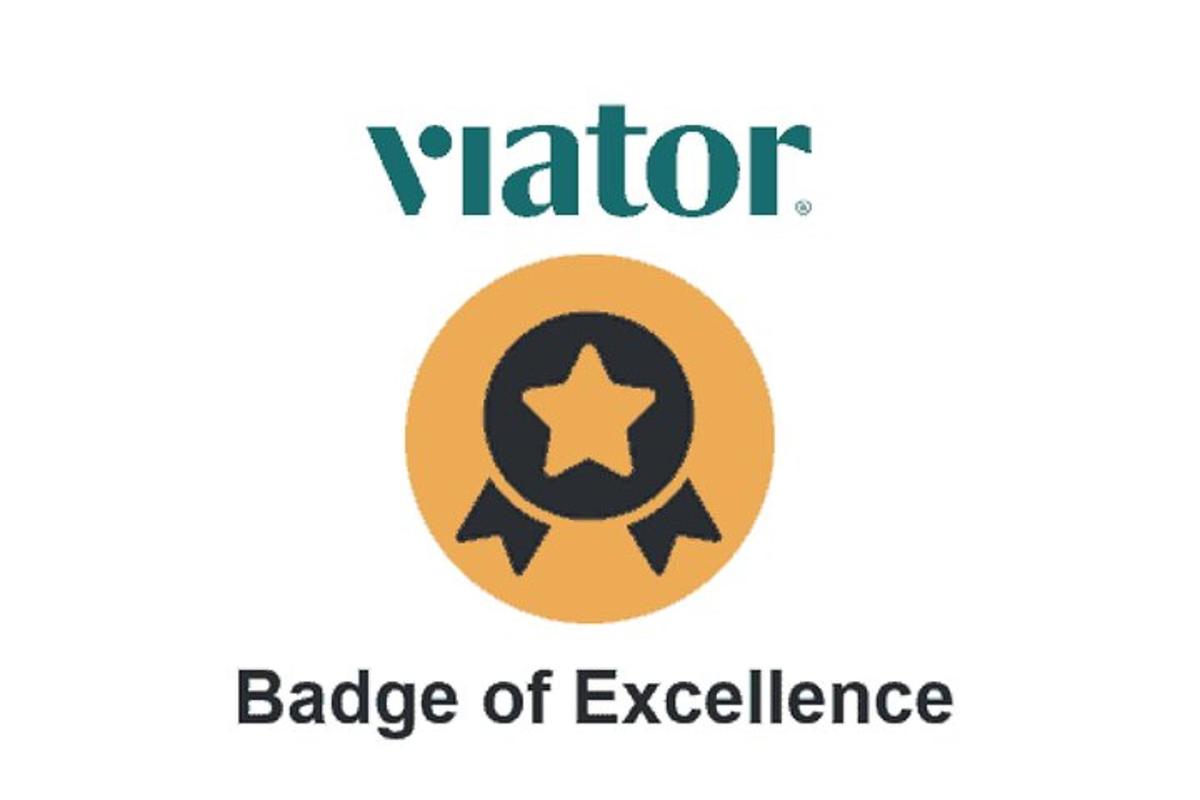 a badge of excellence with a star and the words vator badge of excellence