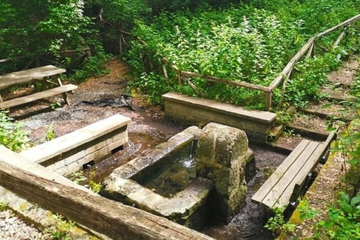 một công viên có hai chiếc ghế dài và một cái ao