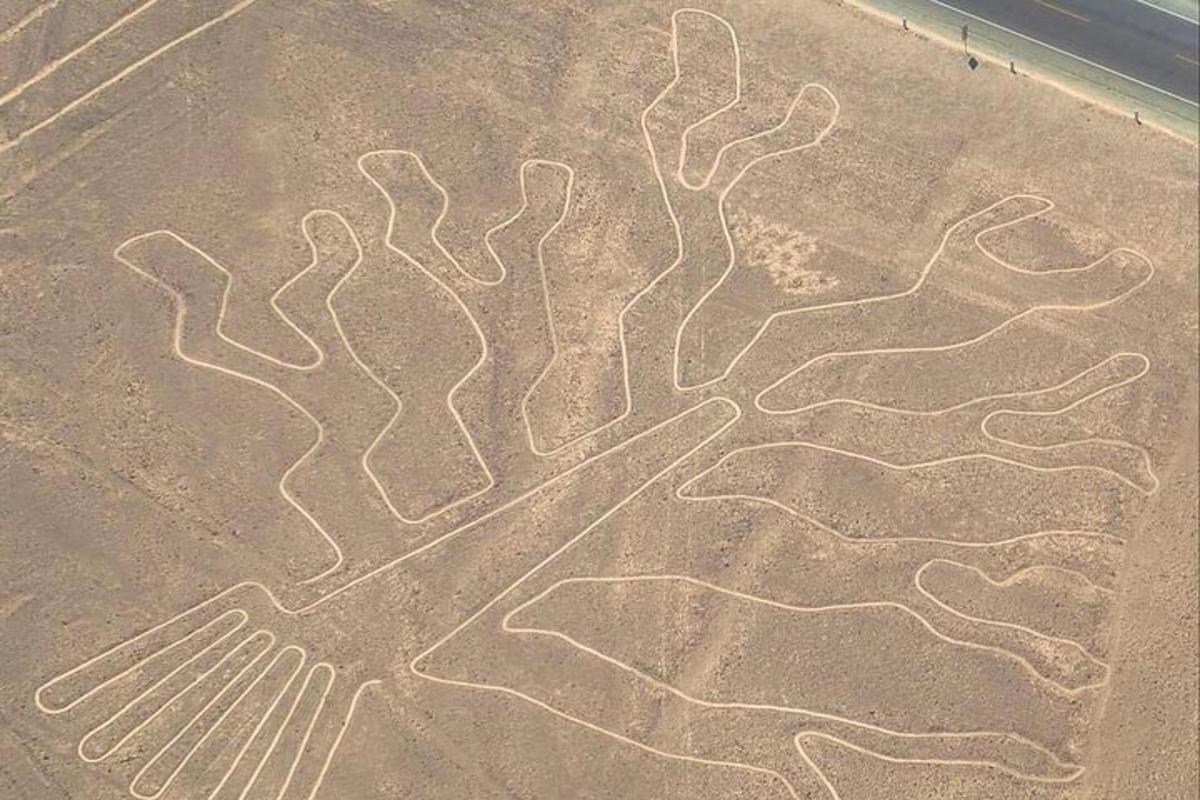 a drawing in the sand with a fork and knife