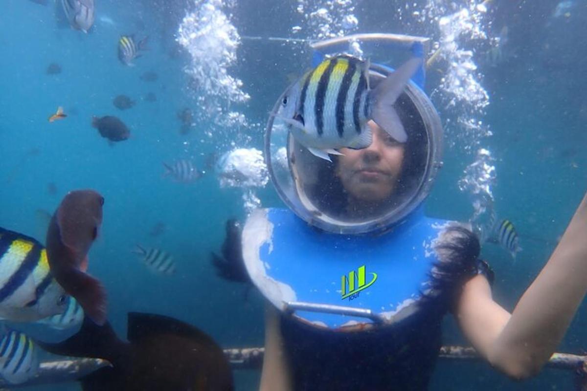 un sub in acqua con una palla in testa