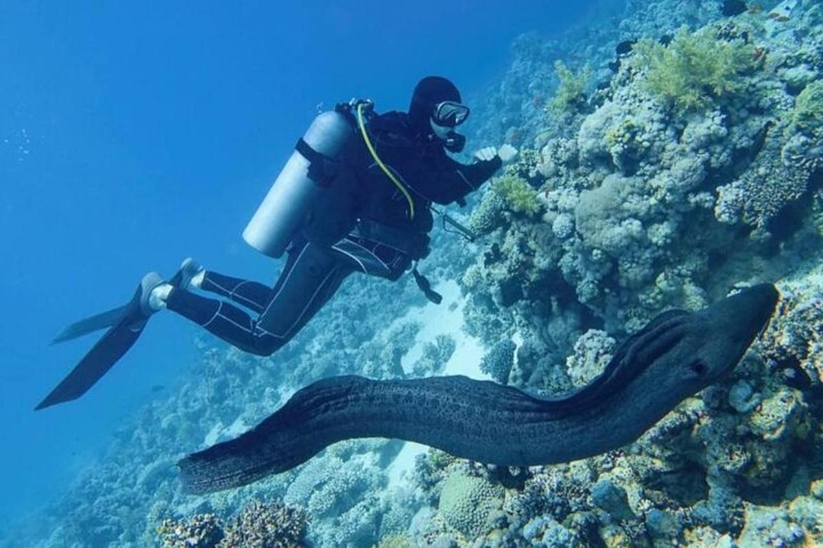 osoba ve vodě s kamerou a chobotnicí