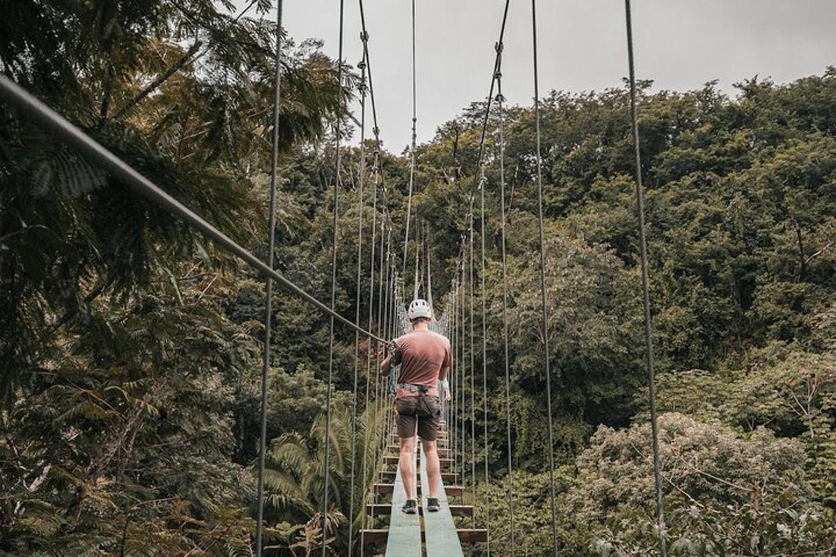 a man walking across a suspension bridge in the jungle
