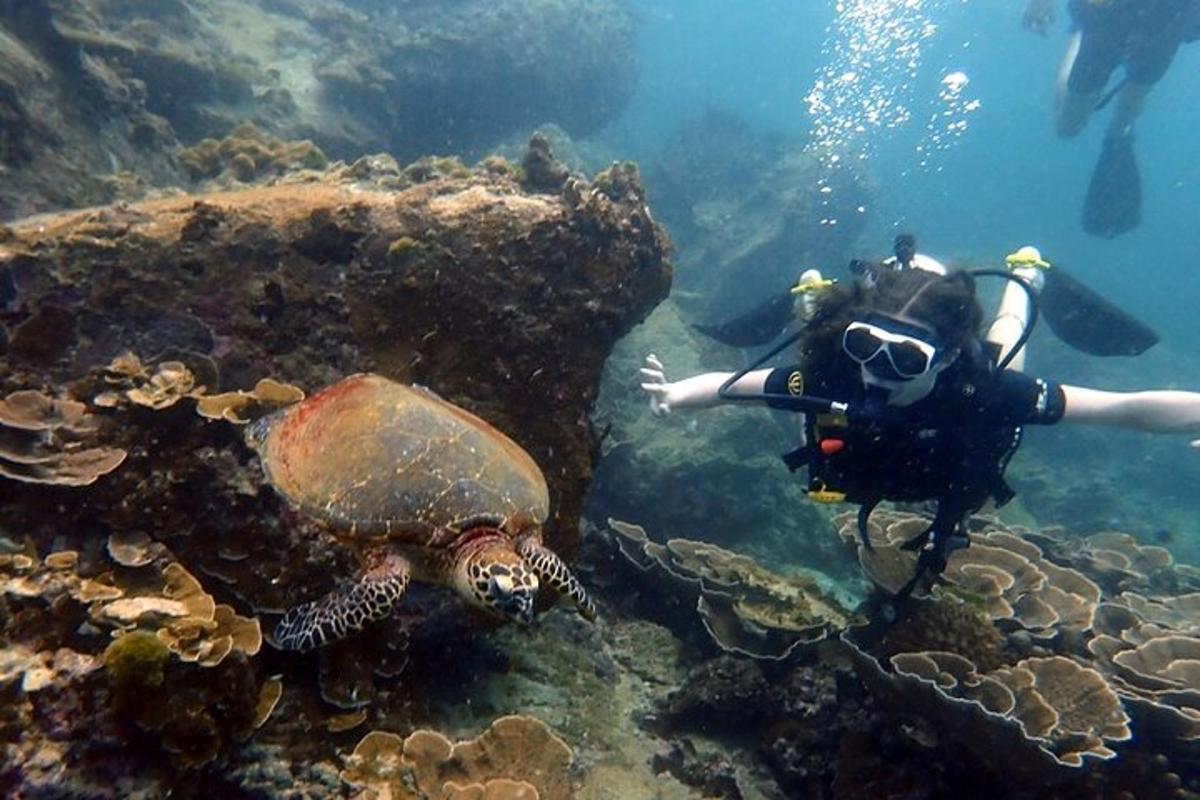 Ένα άτομο με μια κάμερα και μια χελώνα στο νερό