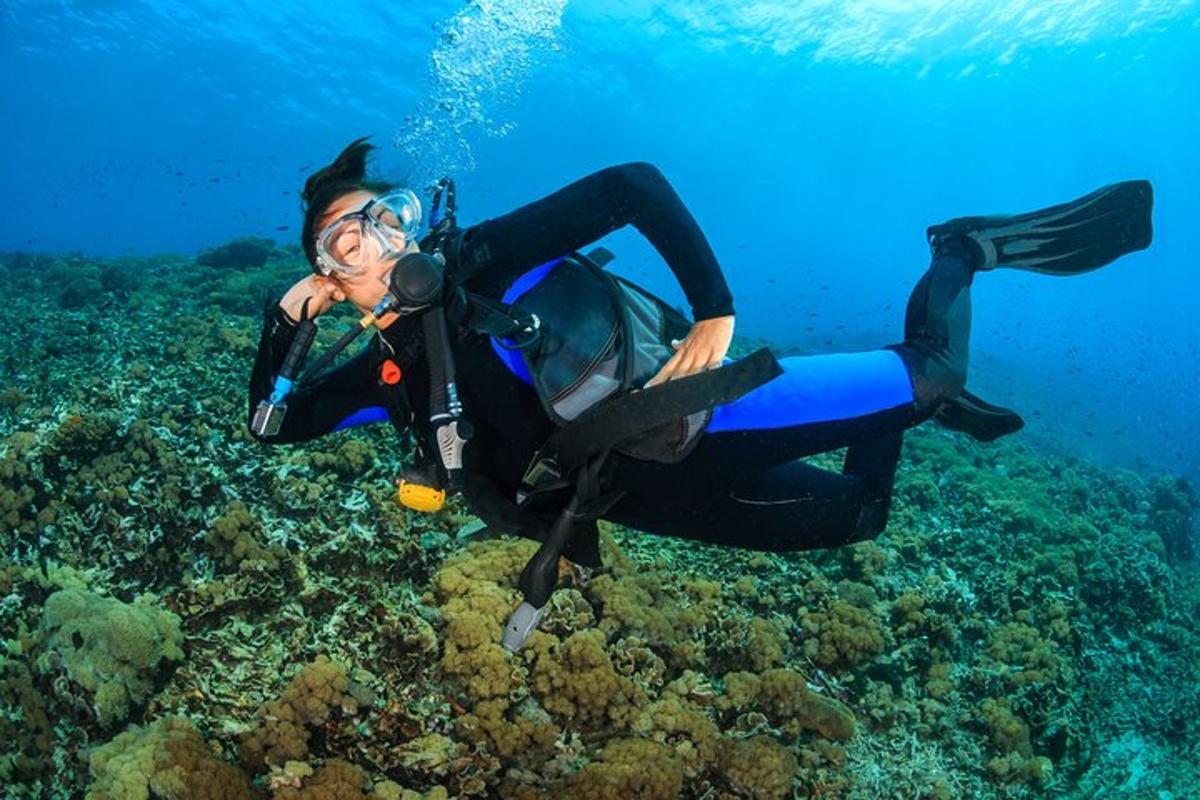 a person in a wetsuit swimming over a coral reef