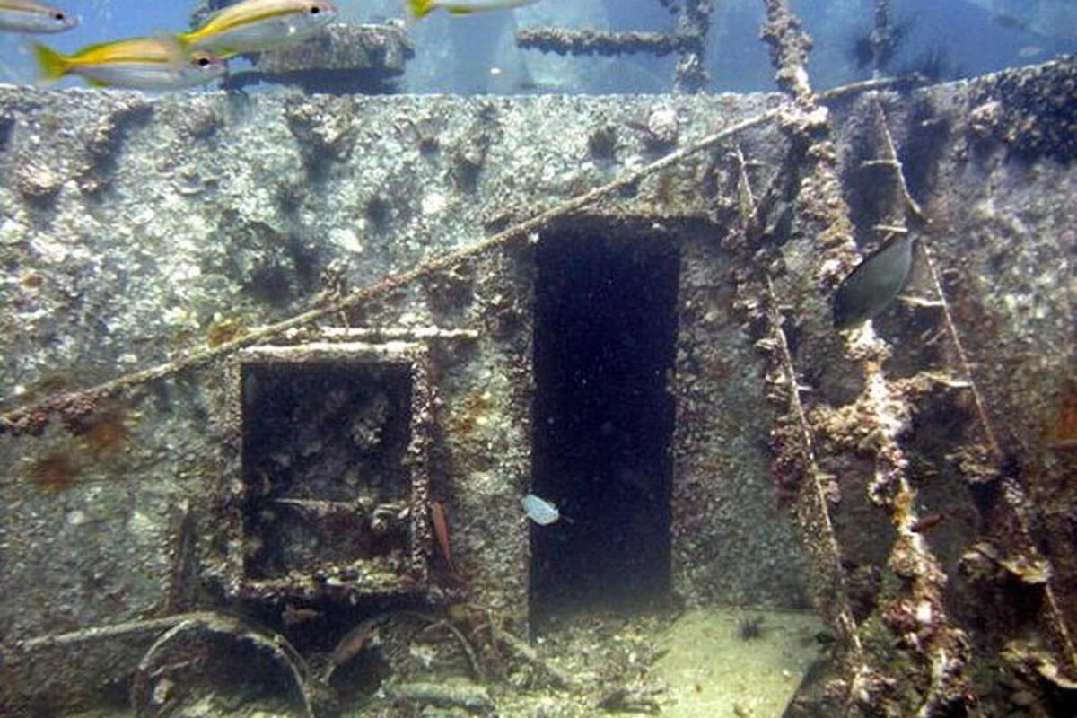 μια σπηλιά στον ωκεανό με ψάρια μέσα