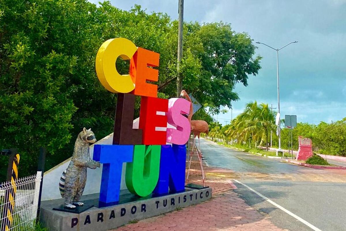 a woman taking a picture of a sign with a bear