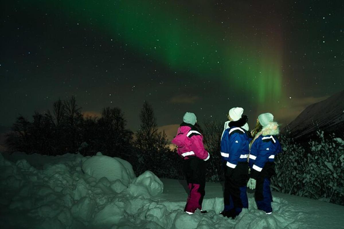 quattro persone in piedi nella neve che guardano l'aurora boreale