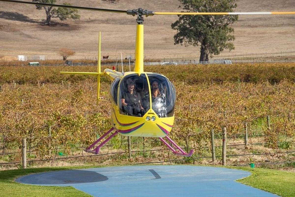 een gele helikopter vliegt over een veld