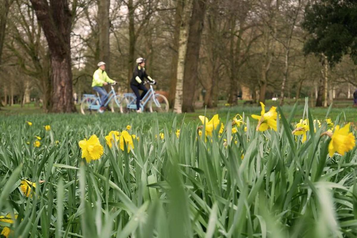 two people riding bikes in a park with yellow flowers