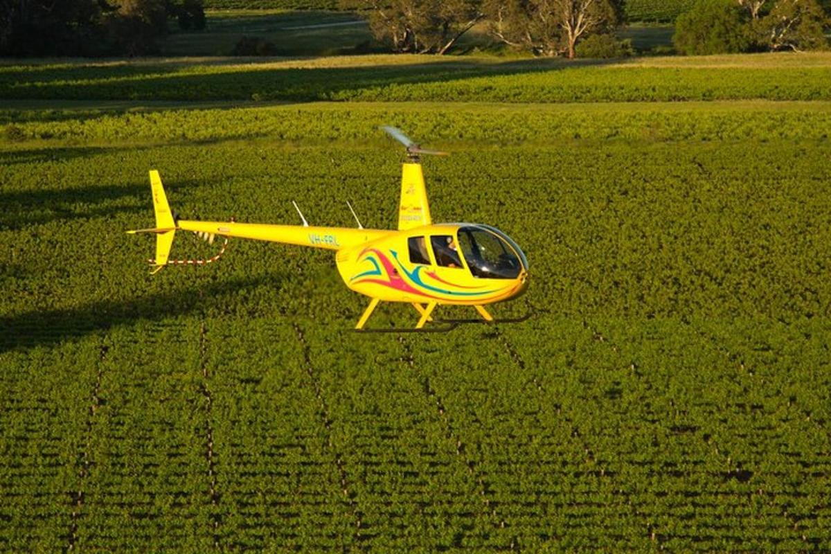 un piccolo aereo giallo parcheggiato in un campo