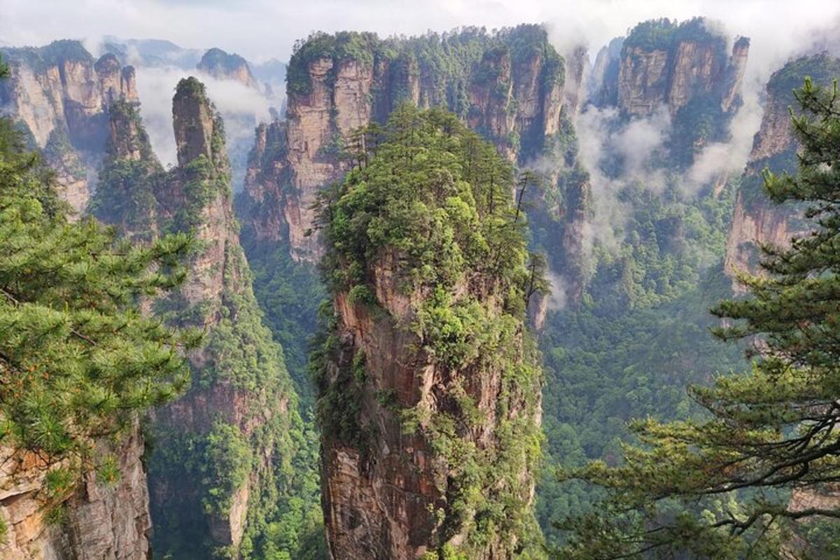 a tall mountain with trees on the side of it