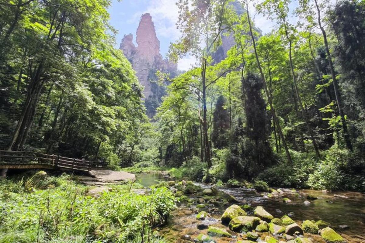 a river in a forest with mountains in the background