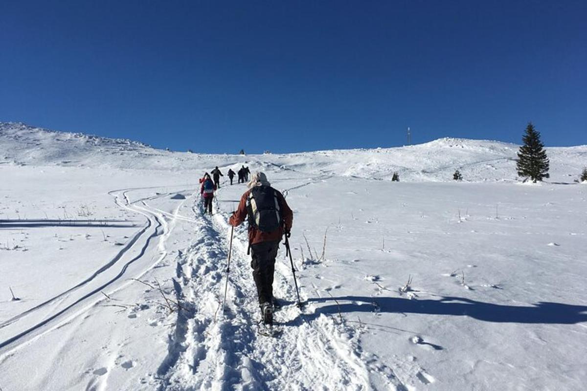 en gruppe mennesker som står på langrenn i snøen