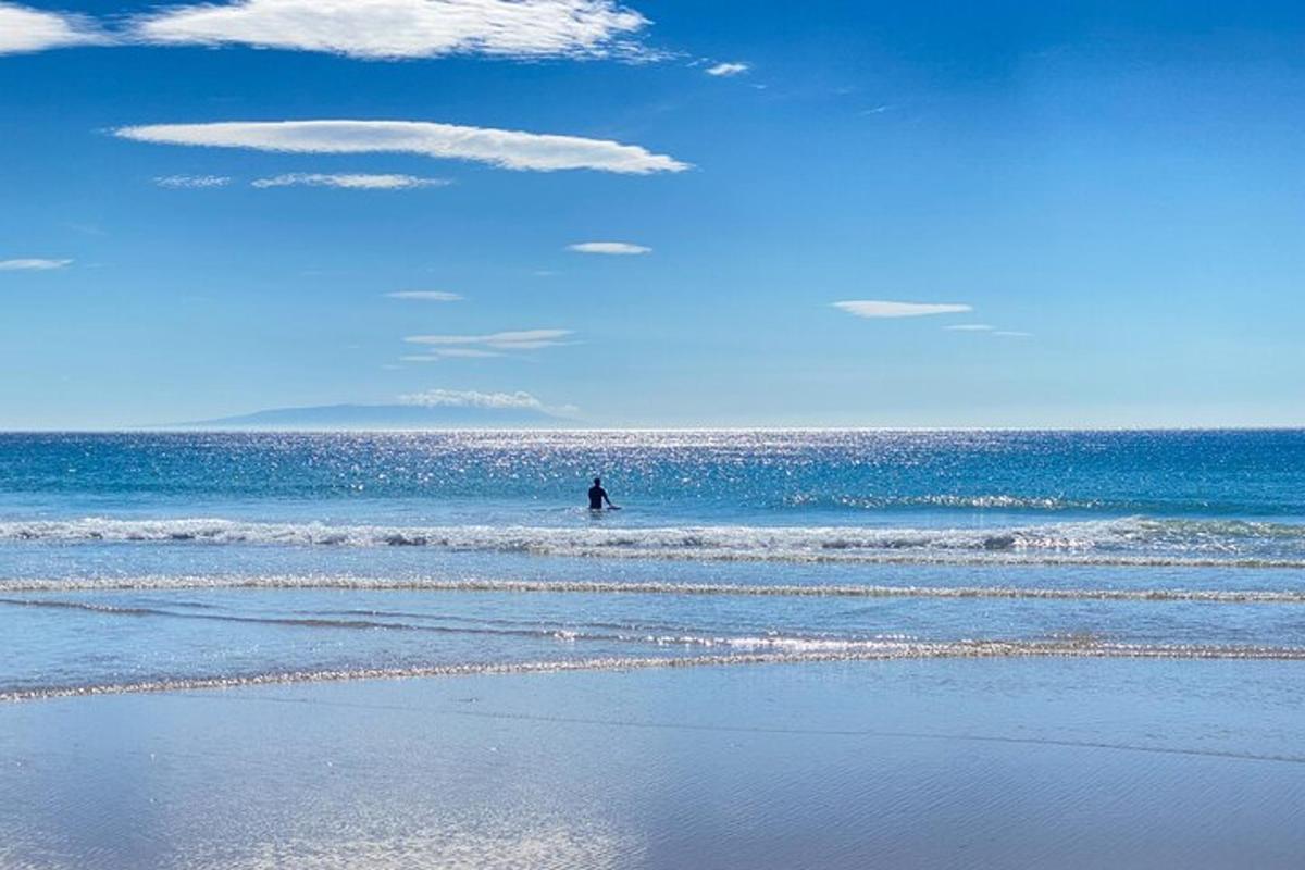 a person standing in the water at the beach