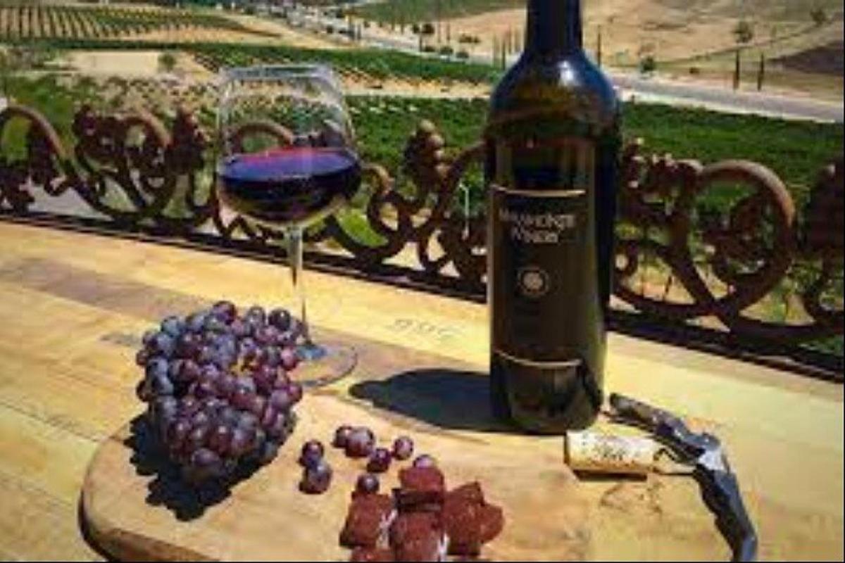 una copa de vino junto a un racimo de uvas