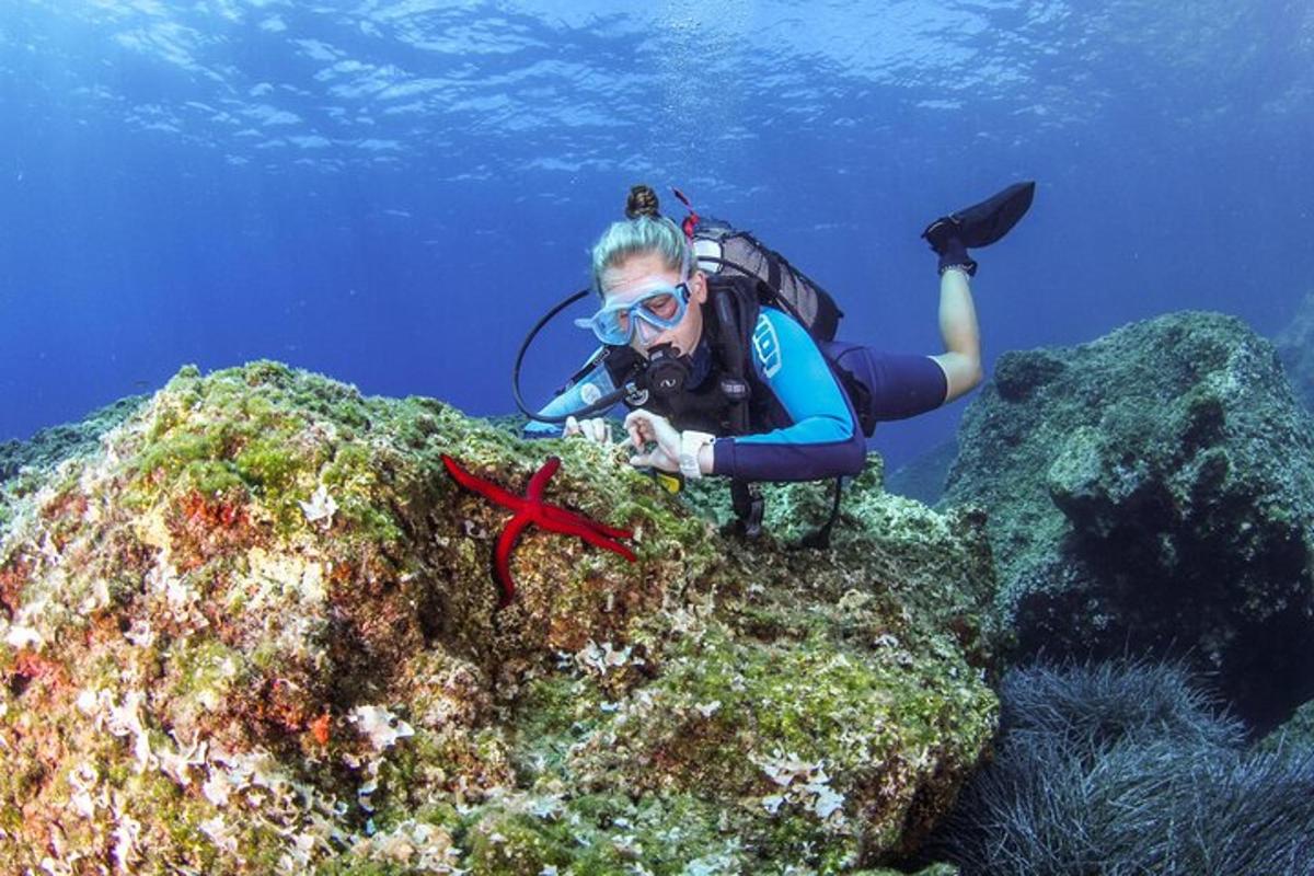 een vrouw in de oceaan die een foto maakt van een rif