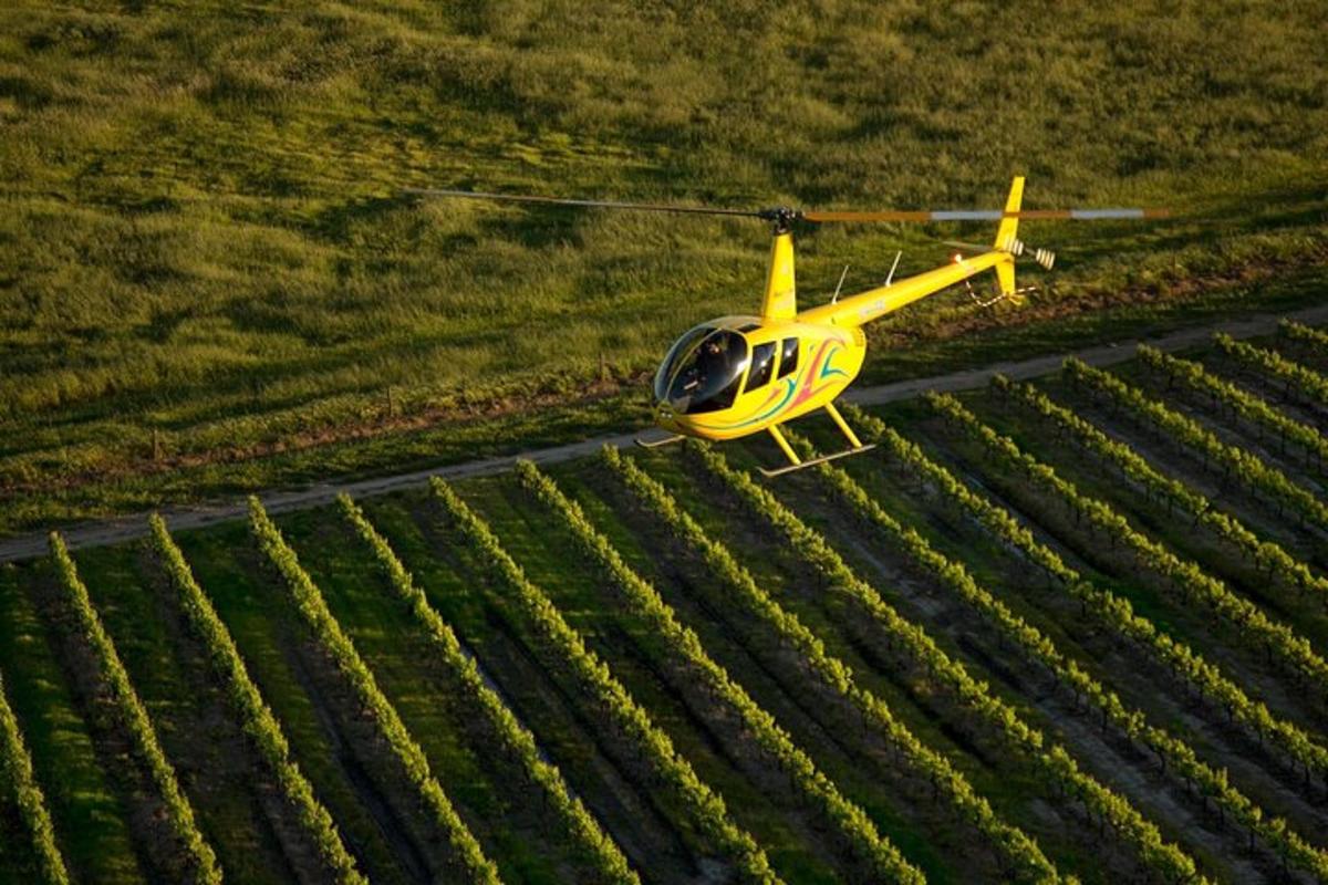 sebuah kapal terbang kuning kecil terbang di atas ladang tanaman