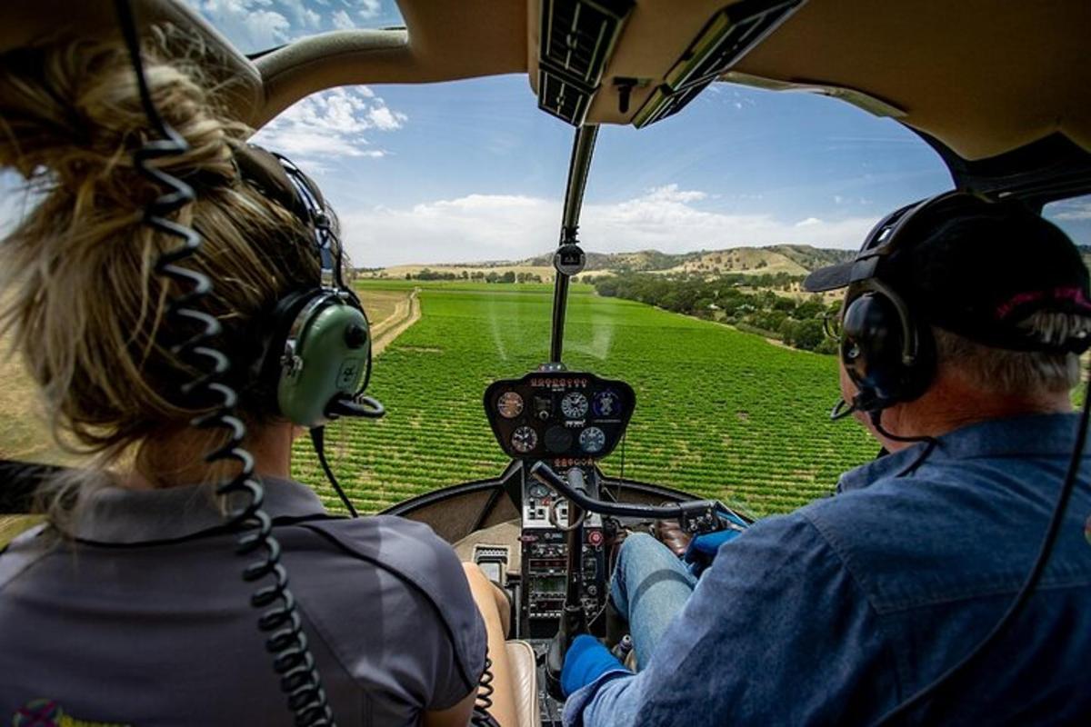 dua orang dalam helikopter melihat ke padang hijau