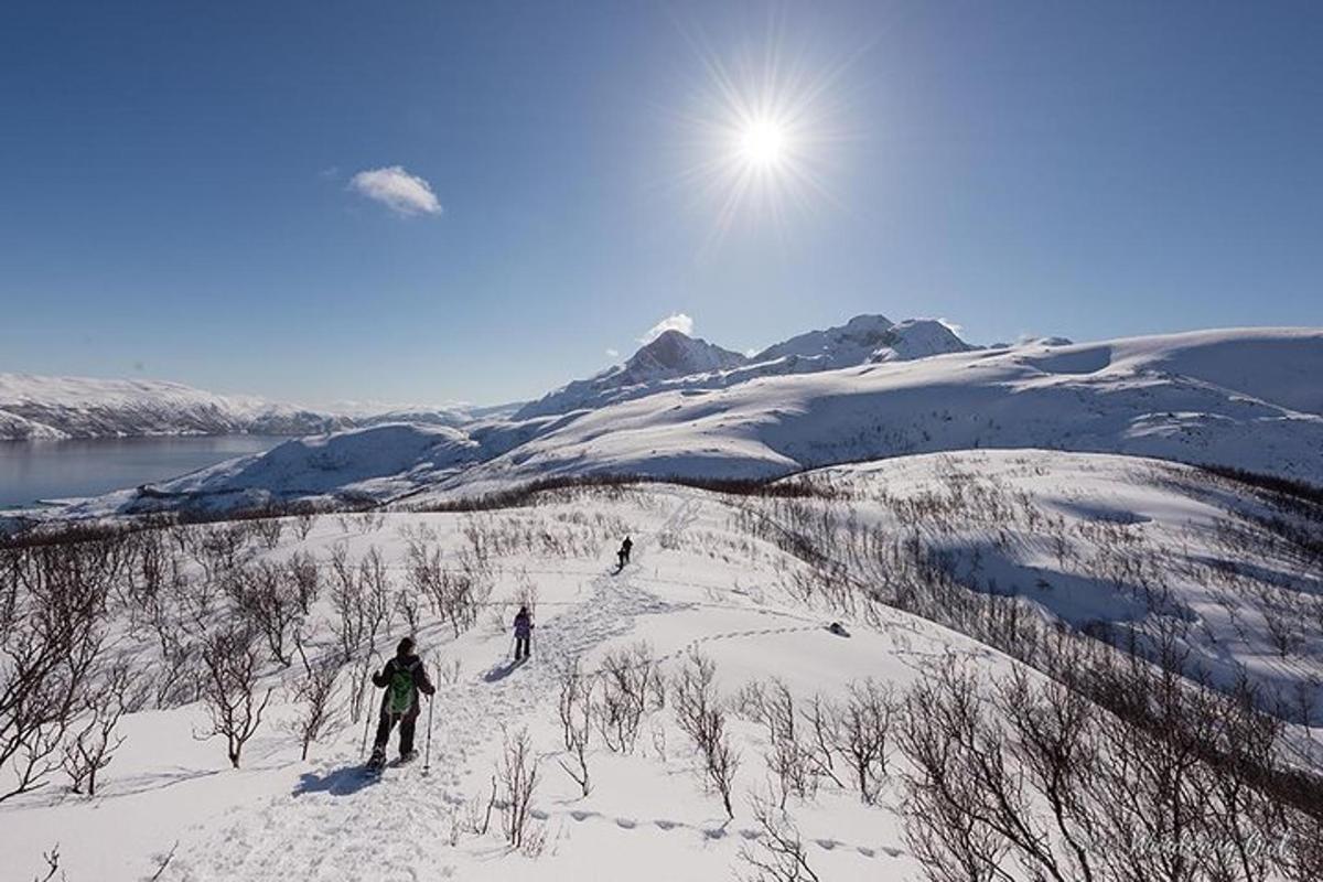 three people skiing down a snow covered mountain