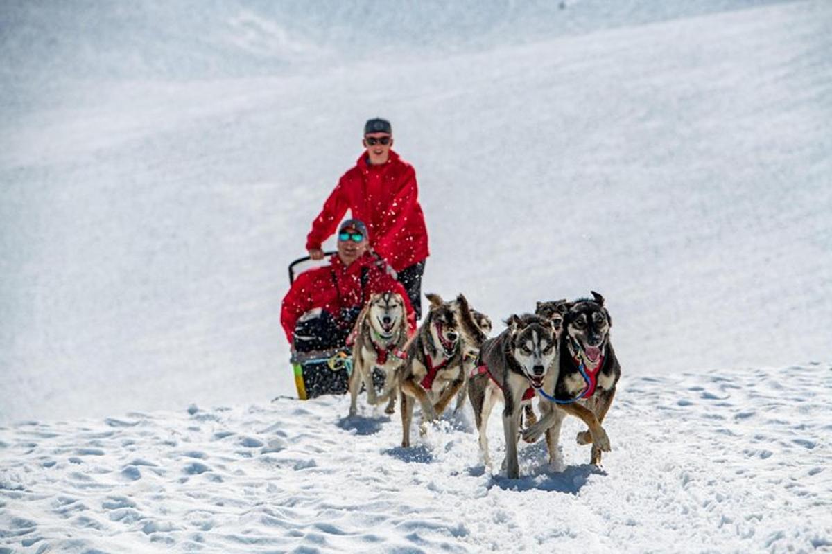 un home arrossegat per un grup de gossos a la neu