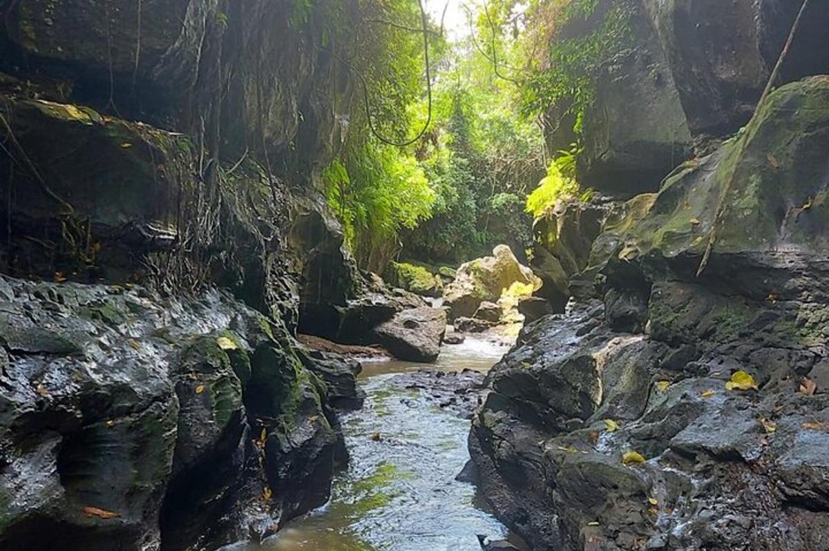 ein Wasserstrom mit Felsen in einem Wald