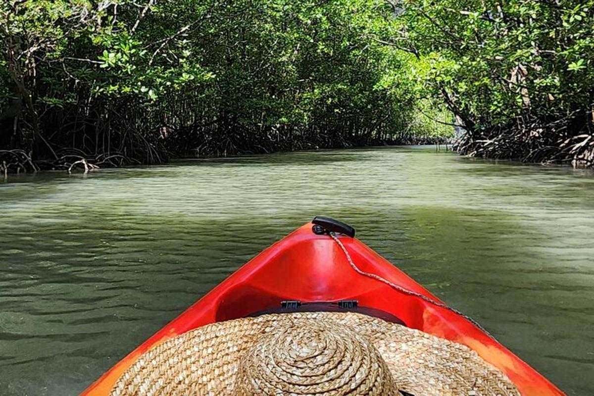eine Person in einem roten Kajak auf einem Fluss