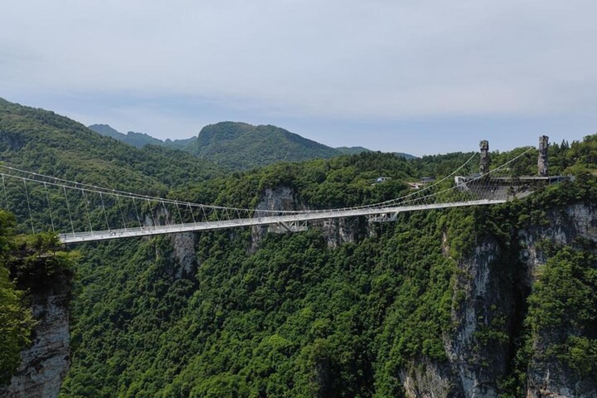 a suspension bridge in the middle of a mountain