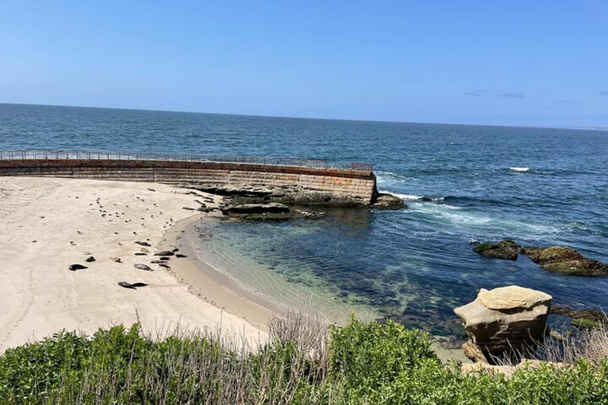 tugimüüriga rand ja ookean