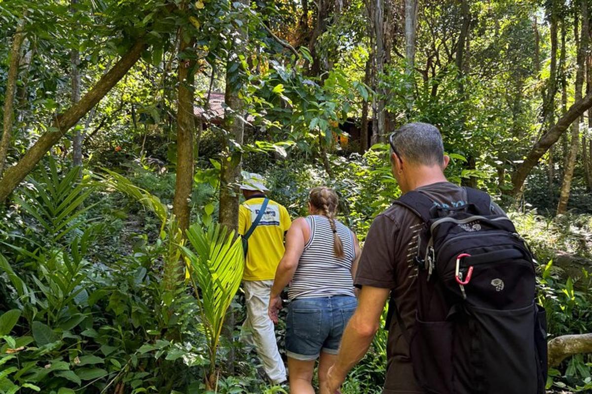 a group of people walking down a trail in the forest