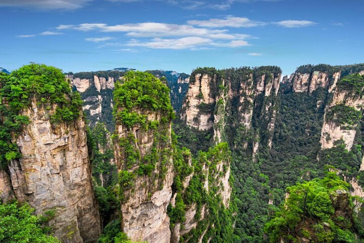 a view of a canyon with trees and rocks