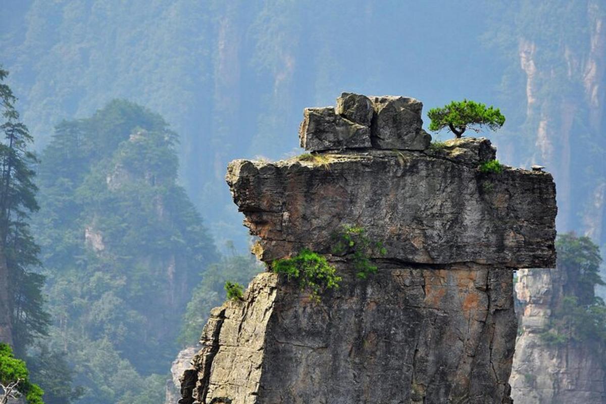 a rock formation with a tree on top of it